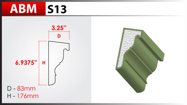 ABM S13