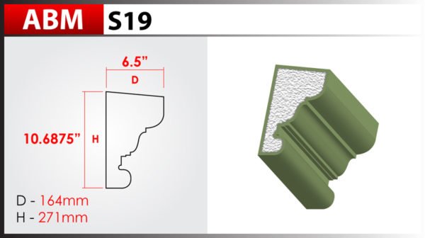 ABM S19